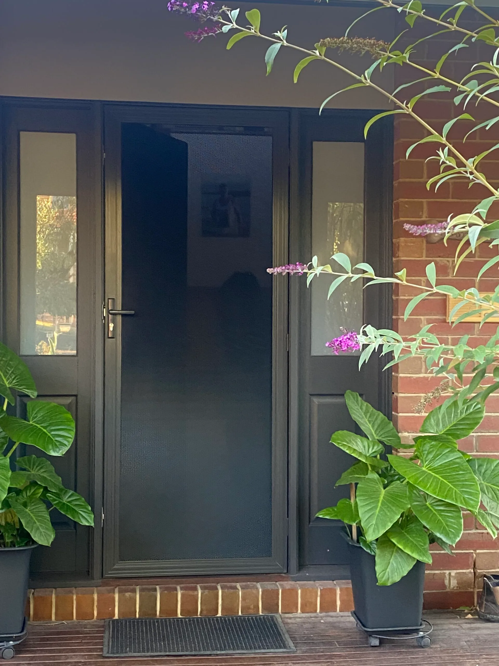 Vision Gard Doors